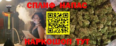 мяу мяу мука Тара