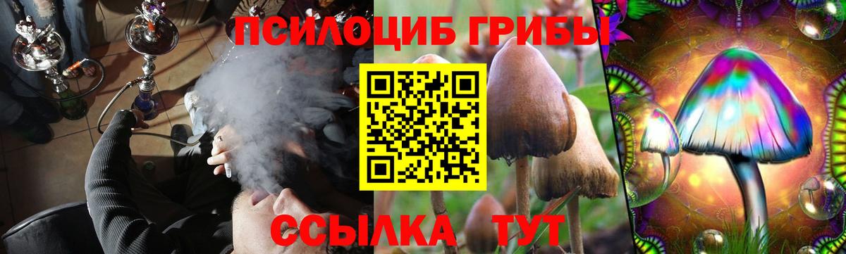 Псилоцибиновые грибы MAGIC MUSHROOMS  Вход с VPN  Галлюциногенные грибы Psilocybine cubensis  Нижний Новгород 